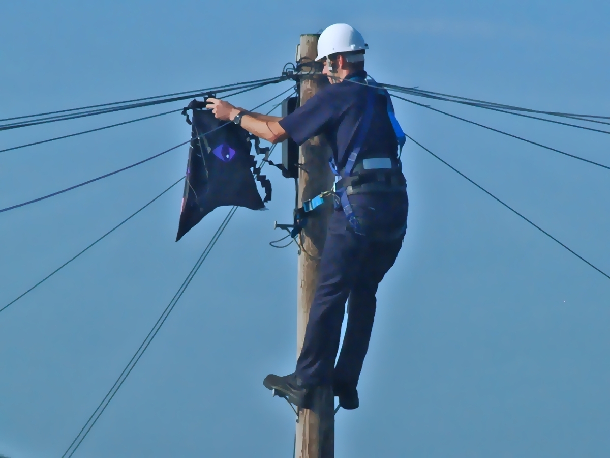 Up the Pole - Fernley Stribling